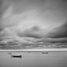 Arek Wnuk´s Portfolio