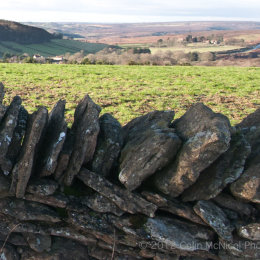 Above Hutton-le-hole