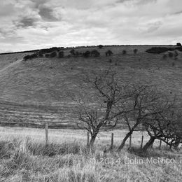 The Yorkshire Wolds Way running through Thixen Dale