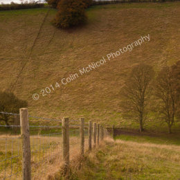 Disappearing Fence, Thixen Dale