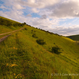 The Minster Way, Millington Pastures