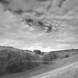 Break in the Clouds (B&W), Thixen Dale