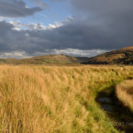 Rain clouds heading towards Ynys-hir