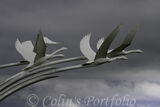 The Children of Lir sculpture, by Malcolm Robertson