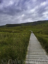 The start of the Cuilcagh boardwalk section