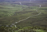 An overview of the walk stretching into the distance, taken from the viewing platform