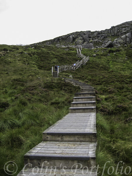 The start of the steps on the climb up the boardwalk