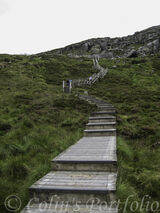The start of the steps on the climb up the boardwalk