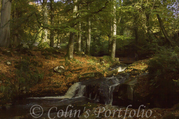 Shankill River with autumn colours