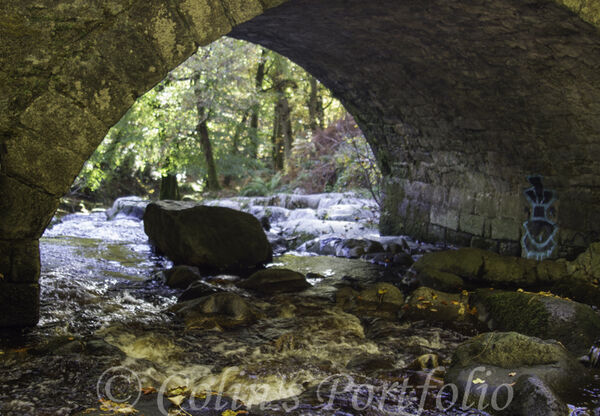 Under the Cloghleagh Bridge on the Shankill River
