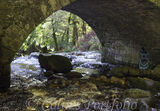 Under the Cloghleagh Bridge on the Shankill River