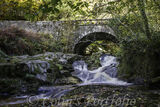 Cloghleagh Bridge, built c1820 over the Shankill River