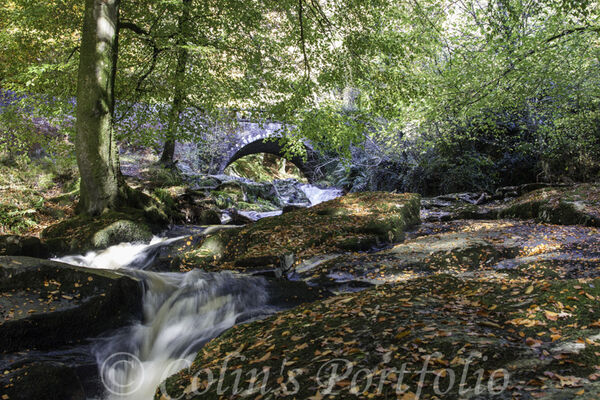 River Shankill with Cloghleagh Bridge in the background