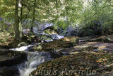 River Shankill with Cloghleagh Bridge in the background