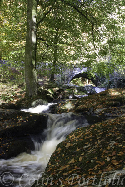 Shankill River below the Cloghleagh Bridge