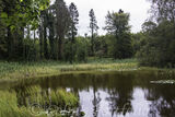 The lake in Donadea Forest Park