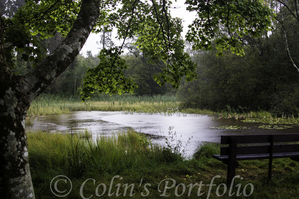 The lake in Donadea Forest Park