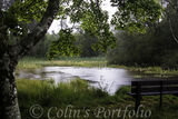 The lake in Donadea Forest Park