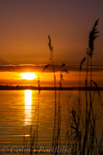 Sunset over the lake.