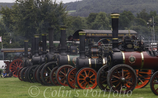 A line up of steam engines