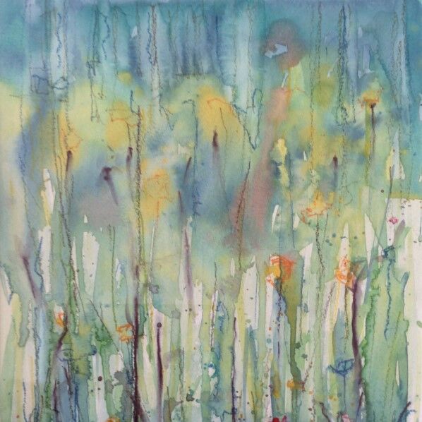 Cotehele Wildflowers I