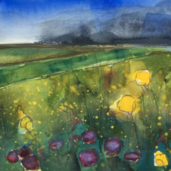 Avebury Meadow