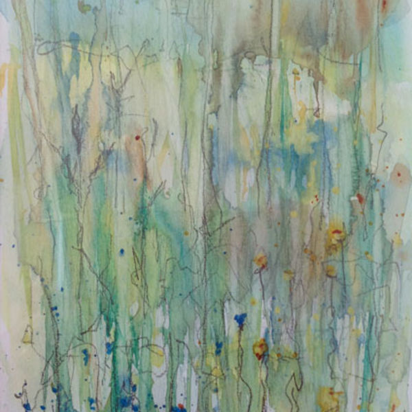 Cotehele Wildflowers II