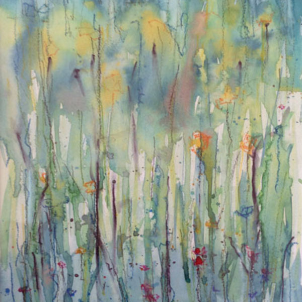 Cotehele Wildflowers I