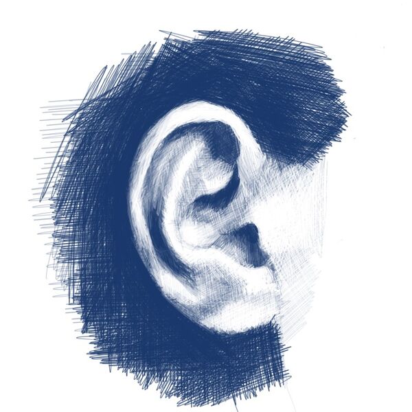 Digital Study XX