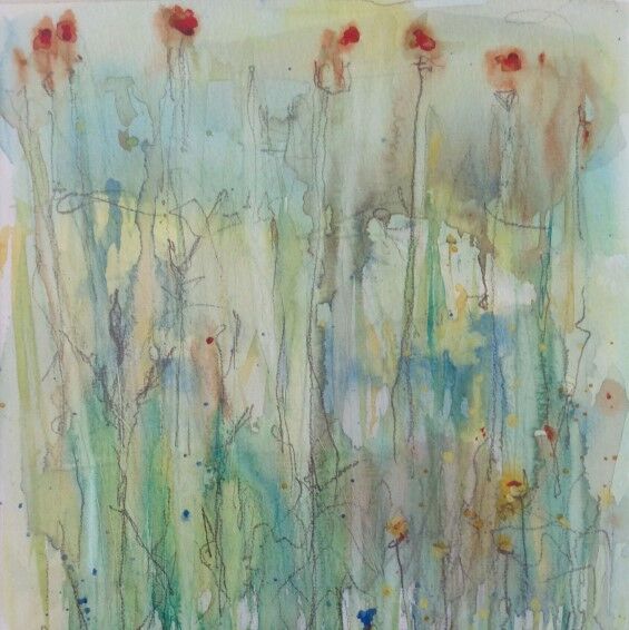 Cotehele Wildflowers II