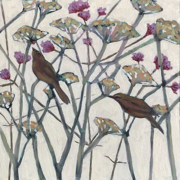 Fennel, Verbena and Warblers