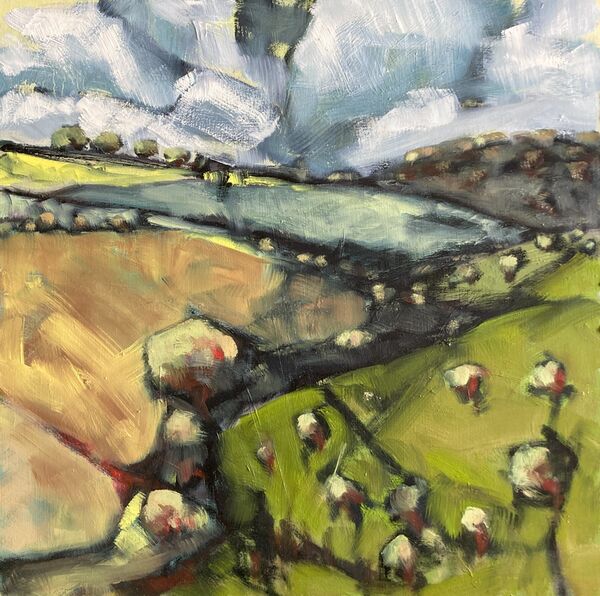 Horsedale Shadows