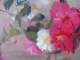 Camellias