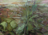 Wild Trees