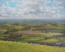 11. 'Sheep grazing at Eggardon Hillfort' Oil 40x50cm
