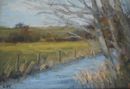 'The river at Frampton' Oil on Paper 11x16cm