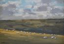 'Sheep grazing near Litton Cheney' Oil on Paper 11x16cm