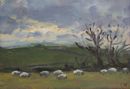'Sheep grazing in winter' Oil on Paper 11x16cm