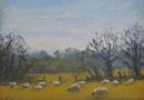 "Sheep grazing near Stinsford' Oil on Paper 11x16cm