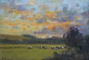 'Cows near Dorchester, evening light' Oil on Paper 11x16cm