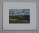 Example of framing. Mounted, glazed and hand painted moulding.