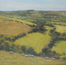 'Sheep on Eggardon' Oil 40x40cm