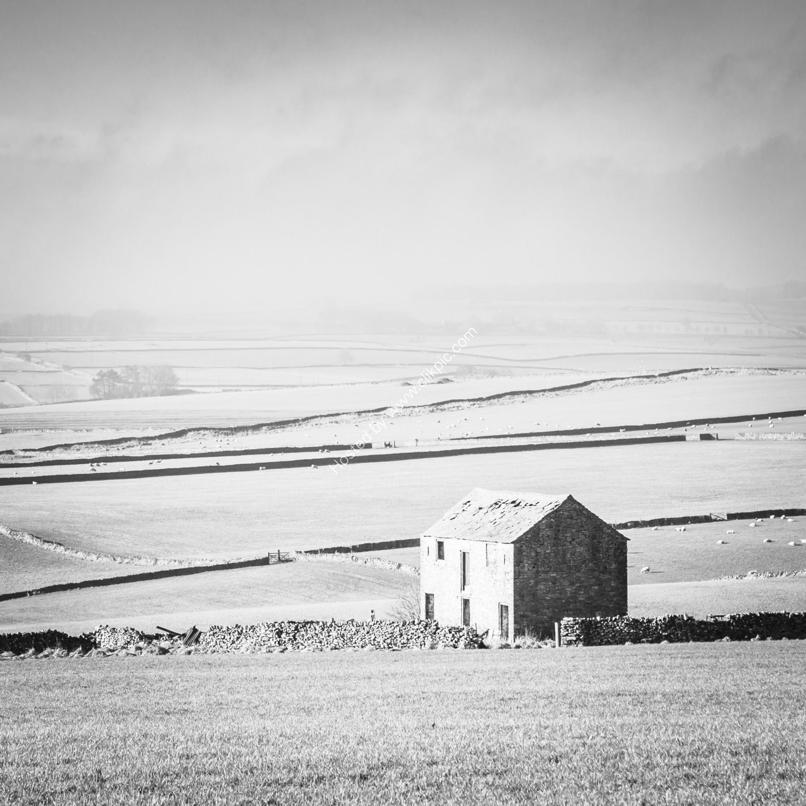 Peak District Winter's Isolation