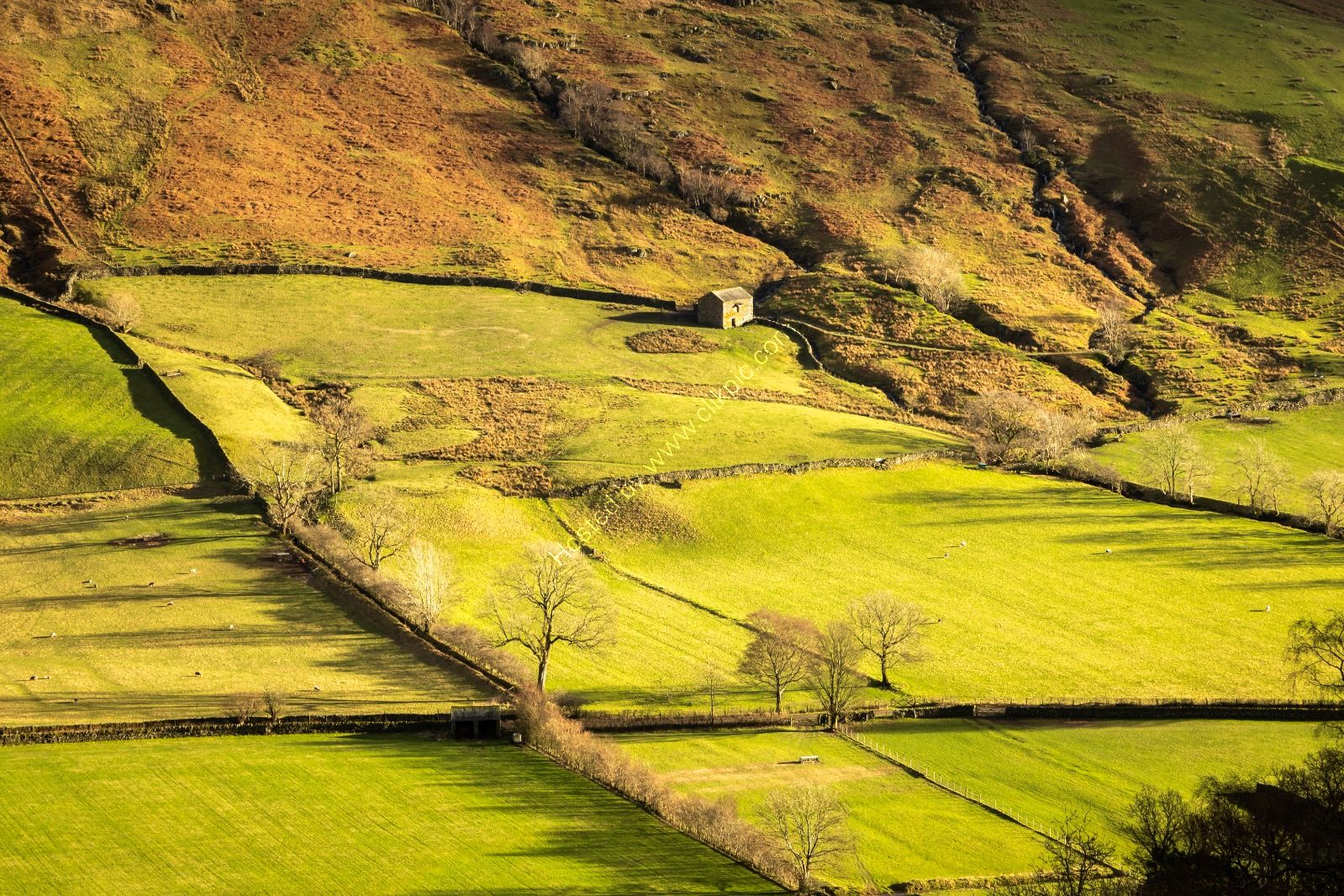Barn Green Field Kirkstone Pass
