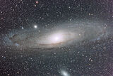 M31