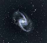 NGC1365