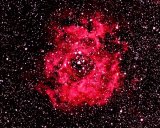 The Rosette Nebula