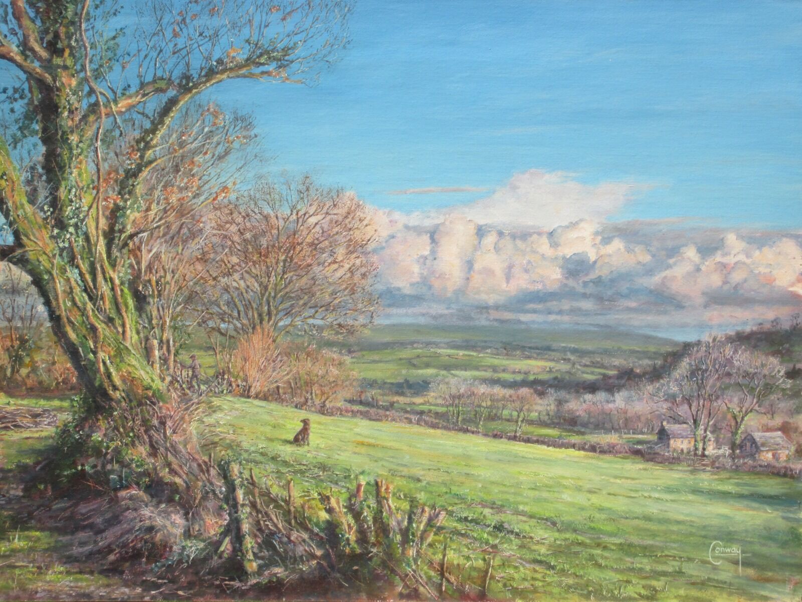 October - 'Hedgelaying in the Golden Hour'