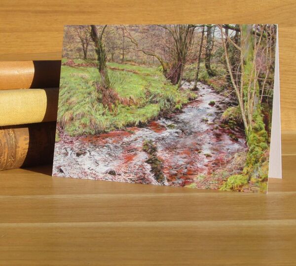 'The Winter Stream' - Myddfai, Carmarthenshire. (L3) Painting of a stream in a wood