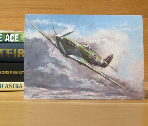 Detail - ‘Return to Coltishall’ - Spitfire MkV of Sgt. Wladyslaw Gretkierewicz, 302 Squadron, 1943. (AV26) Painting of two Mark V Spitfires, flying low over the Norfolk Braods